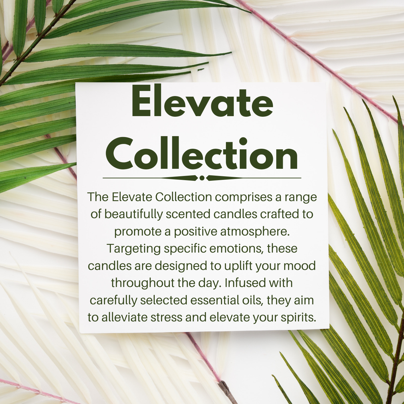 Elevate Collection: Unwind Wax Melts