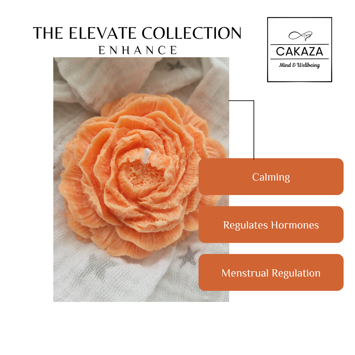 Elevate Collection: Enhance Wax Melts