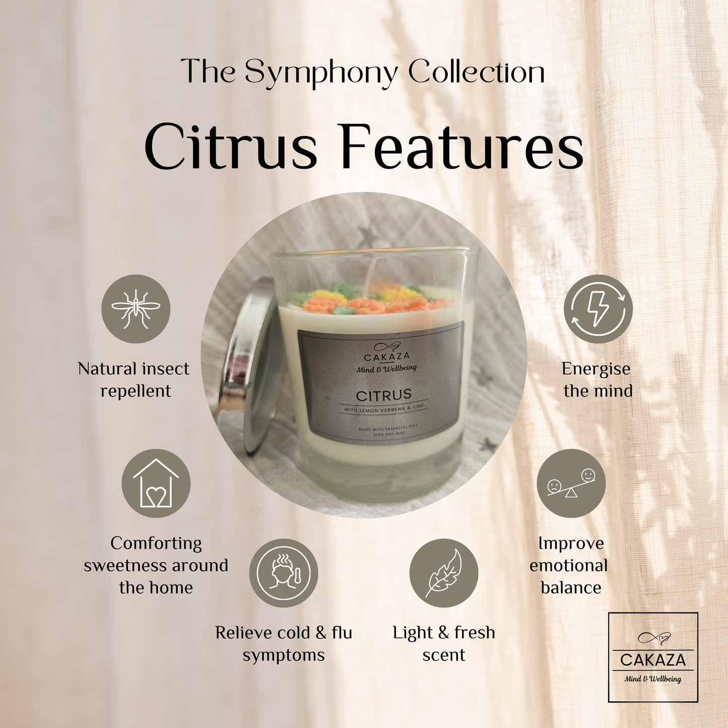 Symphony Collection: Citrus Candle