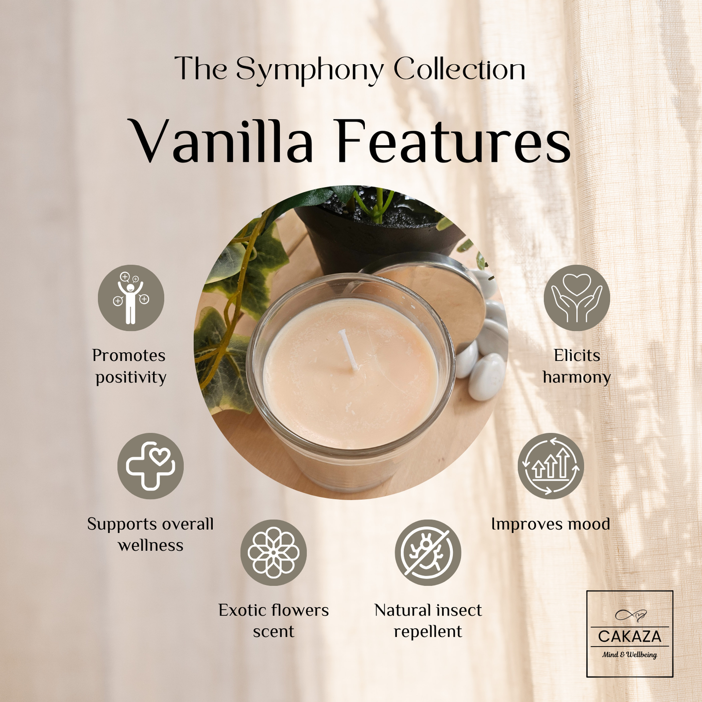 Symphony Collection: Vanilla Diffuser