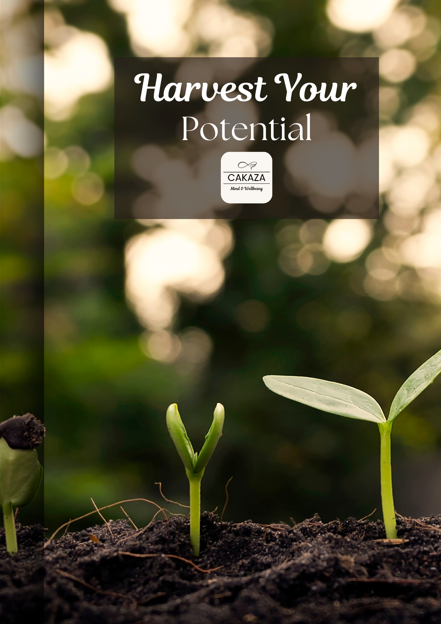 Harvest Your Potential