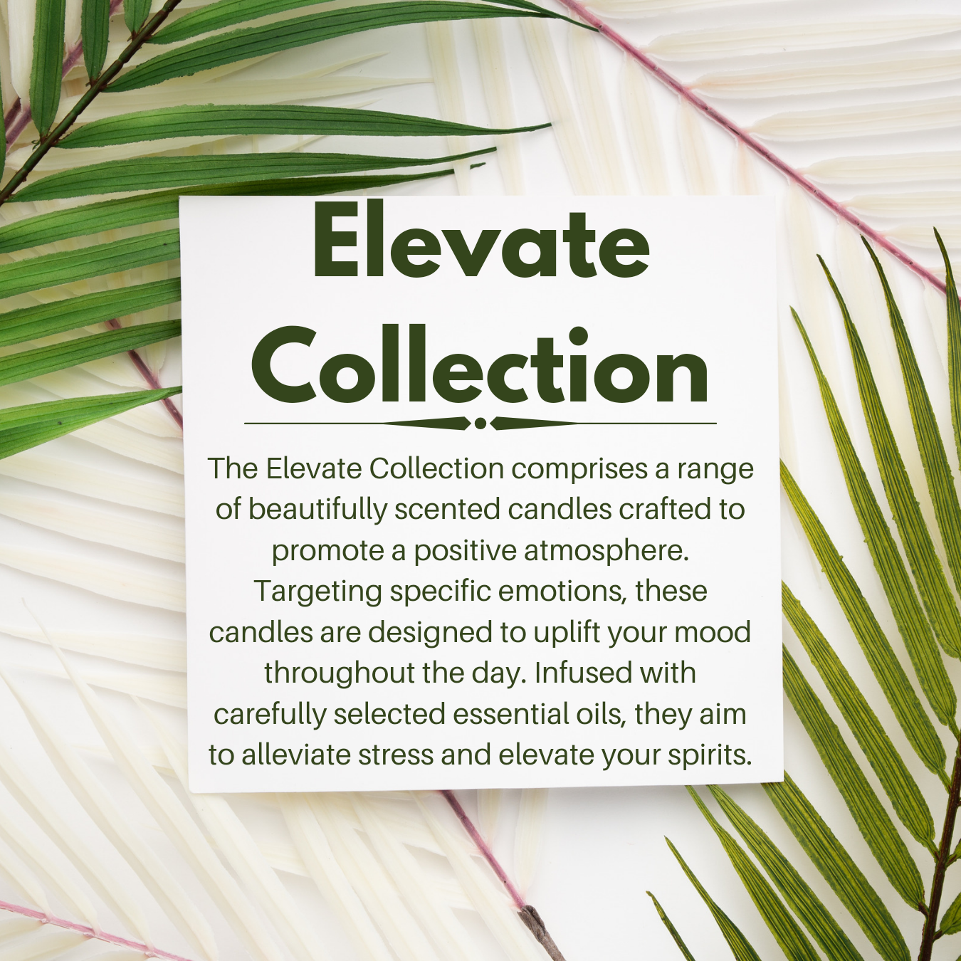 Elevate Collection: Resilience Wax Melts